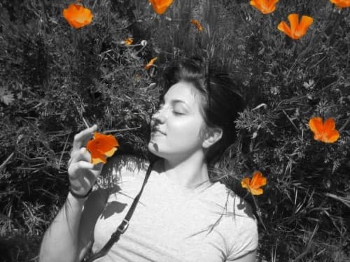 Chelsea Hollow in a bed of flowers